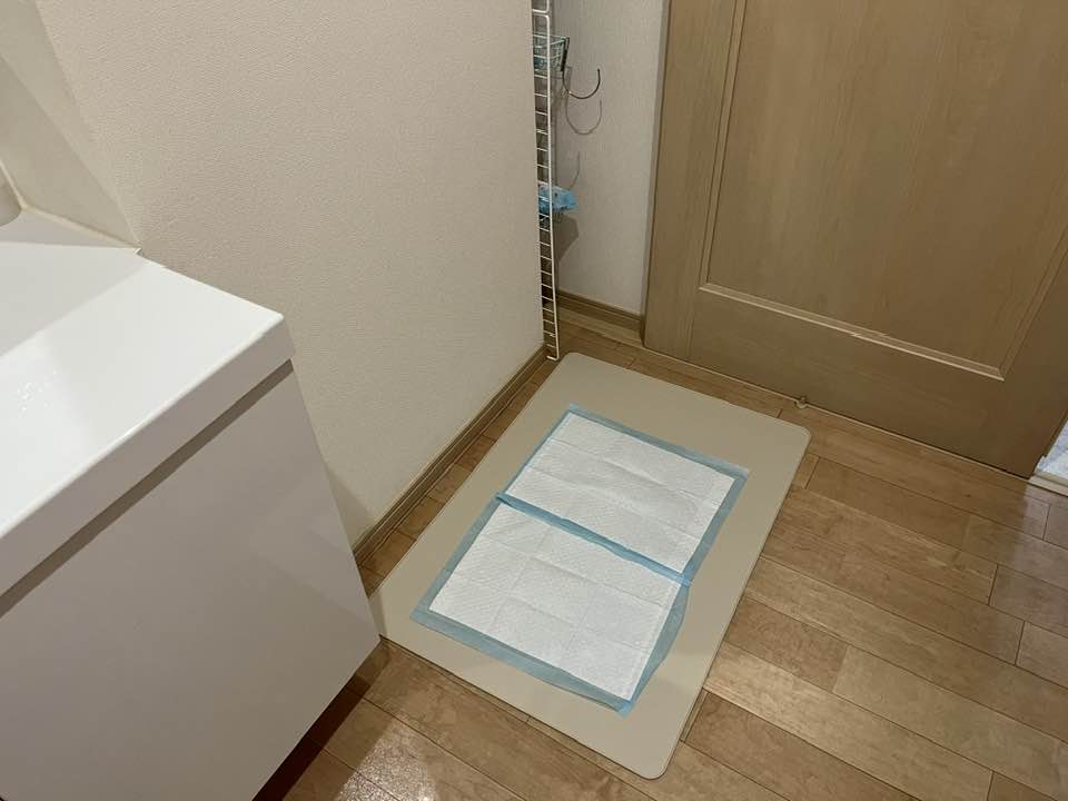 一条工務店の家の大型犬用トイレの設置場所