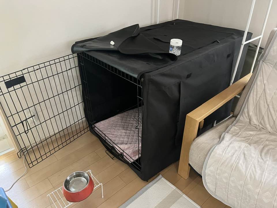 一条工務店の家の大型犬用ケージの設置場所